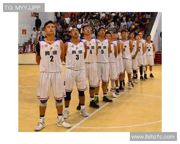 国际队与非洲队篮球对抗赛精彩回顾与战术分析