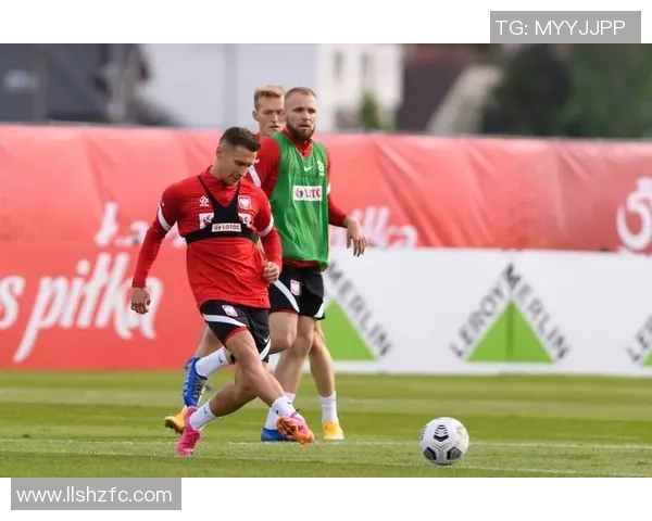 亚美尼亚与波兰足球赛精彩直播全程回顾与分析