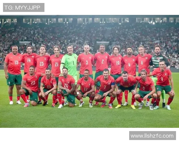 法国对战冰岛北单推荐分析精彩赛事不容错过