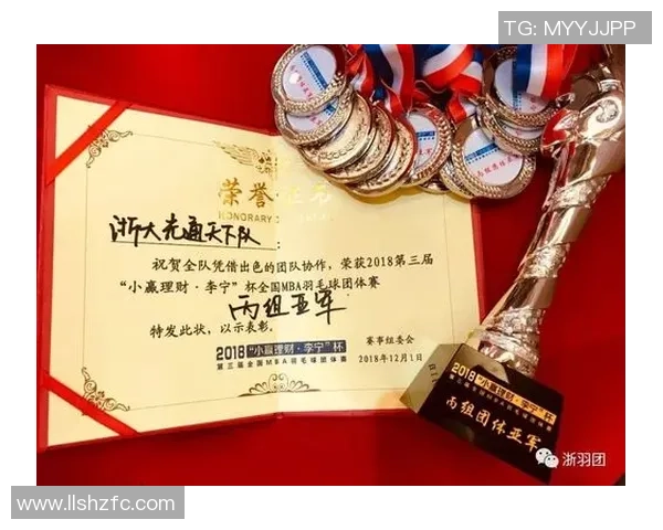 北京羽毛球队个人能力分析与联赛表现评估MBA