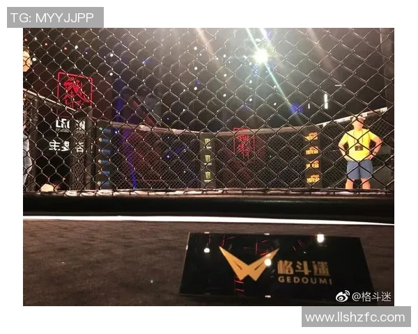 FPX崛起之路：从默默无闻到世界冠军的成长传奇