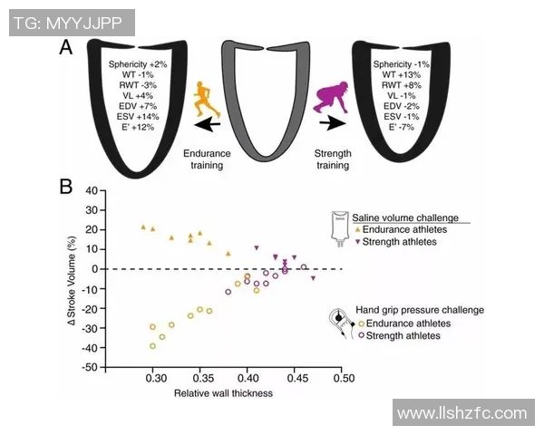 和平精英热议EDG耐力争议背后的真相与影响分析