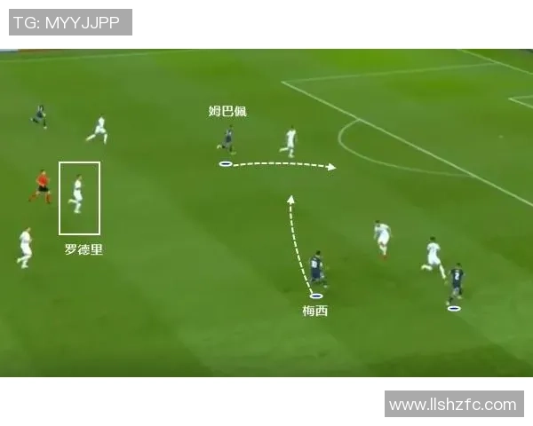 杭州排球队阵地战体系解析与战术创新探讨