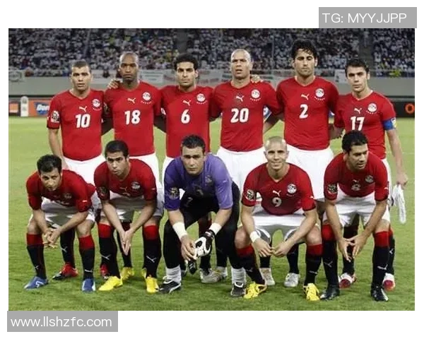 本菲卡与布加拉比赛前瞻分析及胜负预测详解