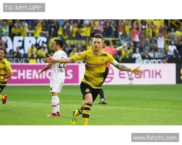 比勒菲尔德对阵多特蒙德精彩直播全程回顾与赛后分析