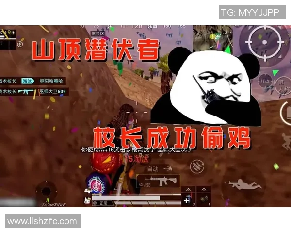 聚焦和平精英TES团队协作的成功秘诀与挑战分析MBA